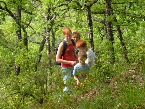 randonnée famille, rando enfants, balade nature, balade forêt