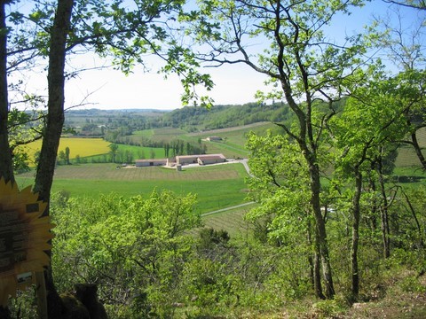 vignes, céréales, vin, jeu de piste