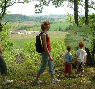 château viticole visite enfants